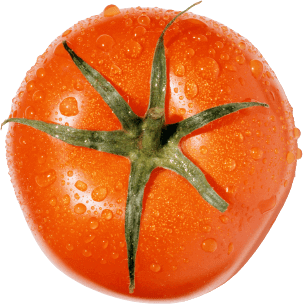 tomato sprayed
